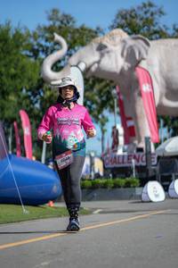 BIB: 
                            <button type="button" onclick="openModal(26545155)" class="btn btn-primary btn-sm float-right btn-popup" data-toggle="modal" data-target=".modal-high-quality">
                        <i class="fas fa-shopping-cart"></i> Add to Cart
                    </button>
                                            <button type="button" onclick="isThisMe(26545155, true)" class="btn btn-success btn-sm float-right btn-popup btn-isme hidden" data-toggle="tooltip" data-placement="bottom" title="นี่คือรูปของคุณใช่ไหม คลิกที่นี่เพื่อเอาเข้าอัลบั้ม">
                        <i class="fas fa-plus"></i> Add to album
                    </button>
                    <button type="button" onclick="isThisMe(26545155, false)" class="btn btn-warning btn-sm float-right btn-popup btn-isnotme hidden">
                        <i class="fas fa-ban"></i> Remove from album
                    </button>